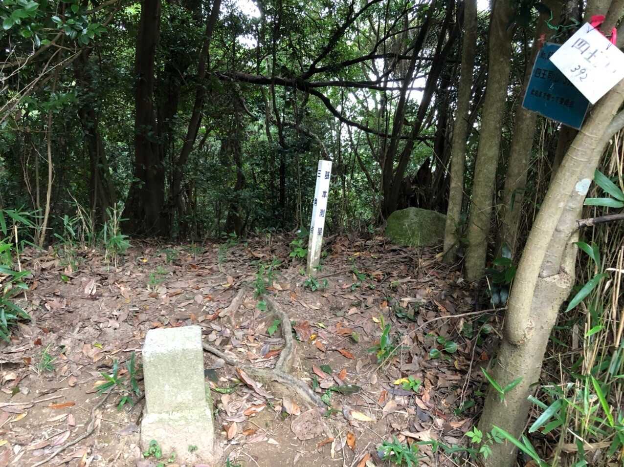 四王司山の写真