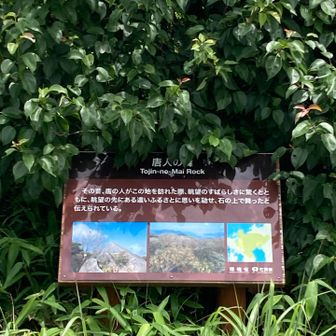 唐人の舞