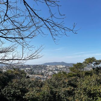 眺望もありました！