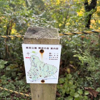 割と広い？