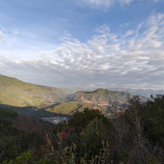 時々景色開ける