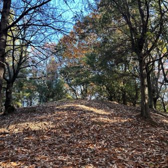 一旦下りて、山頂と思っていた古墳⁈を見上げて写メを撮った後、木の根に躓き豪快に転ける😵

ケガはないけど、モチベダダ下がり⤵︎⤵︎