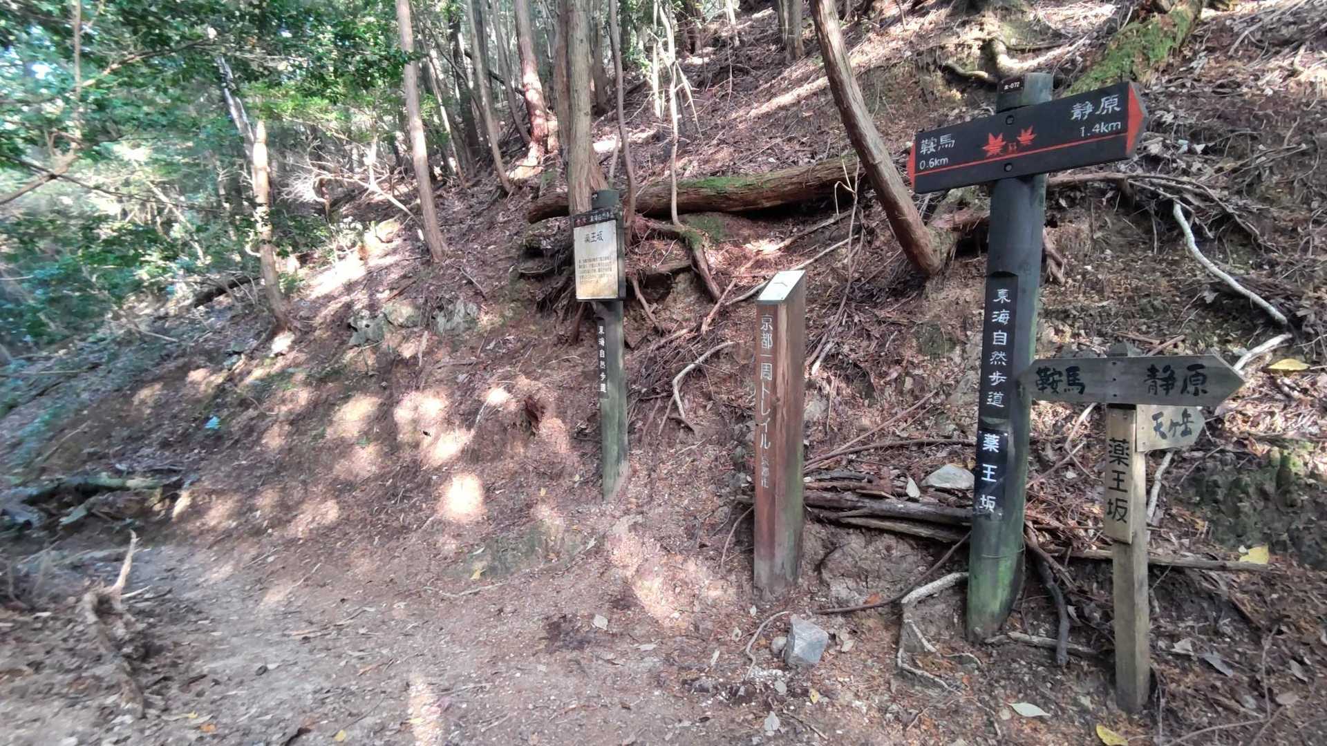 なかなかの坂でした……
まぁ短いので楽勝( ﾟ∀ﾟ)･∵. ｸﾞﾊｯ!!
では鞍馬まで下ります……