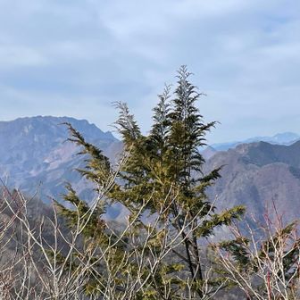 おー…両神山の勇姿⛰️ちょこっと一緒に浅間山😉