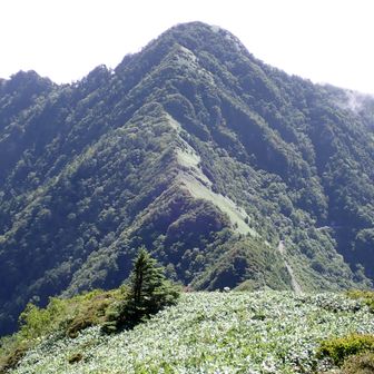 縦走路の先に、昨年11月に骨折した西黒森の山頂が見える。骨折後、自力で下ってきた縦走路も見える。思い出すなぁ。
