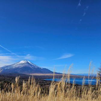 少し登って振り返る