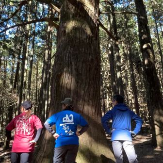 いつものポーズ