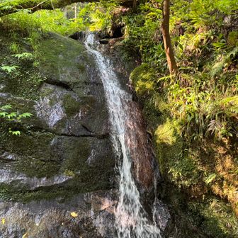 滝💧