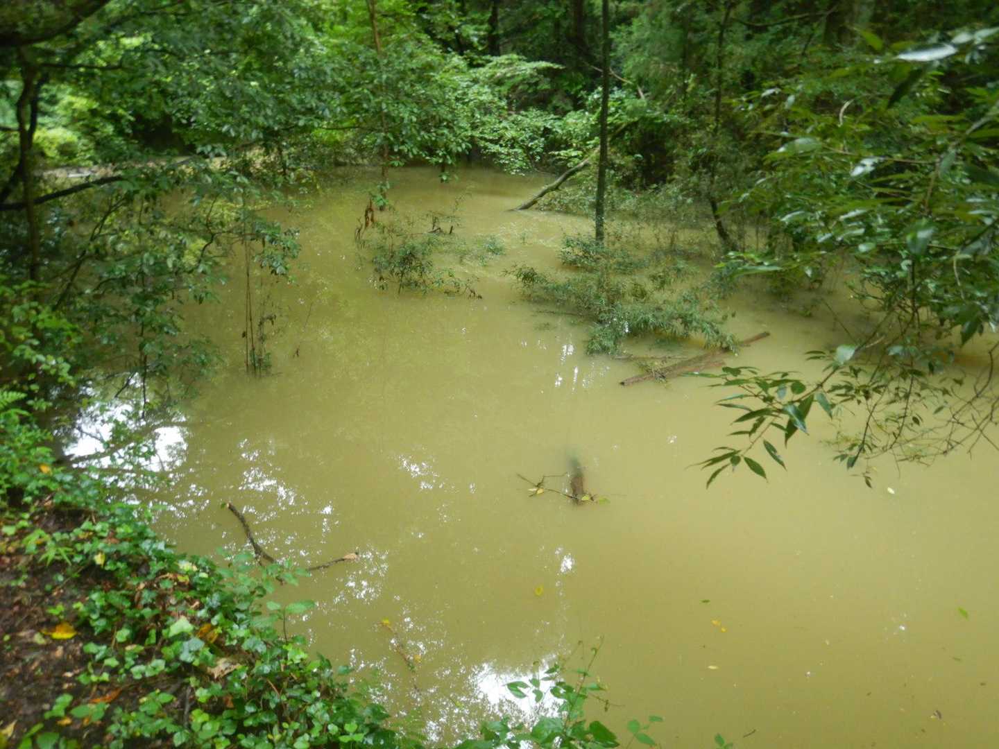 またまた池になってる？