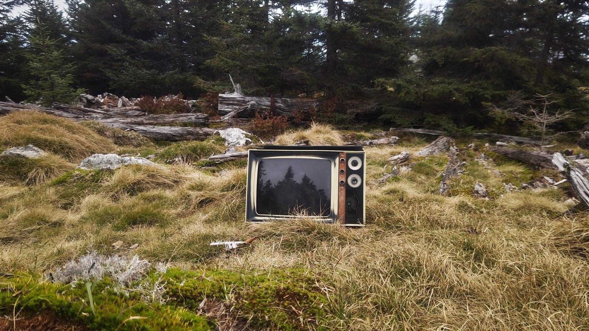奥茶臼山（しらびそ峠）の写真