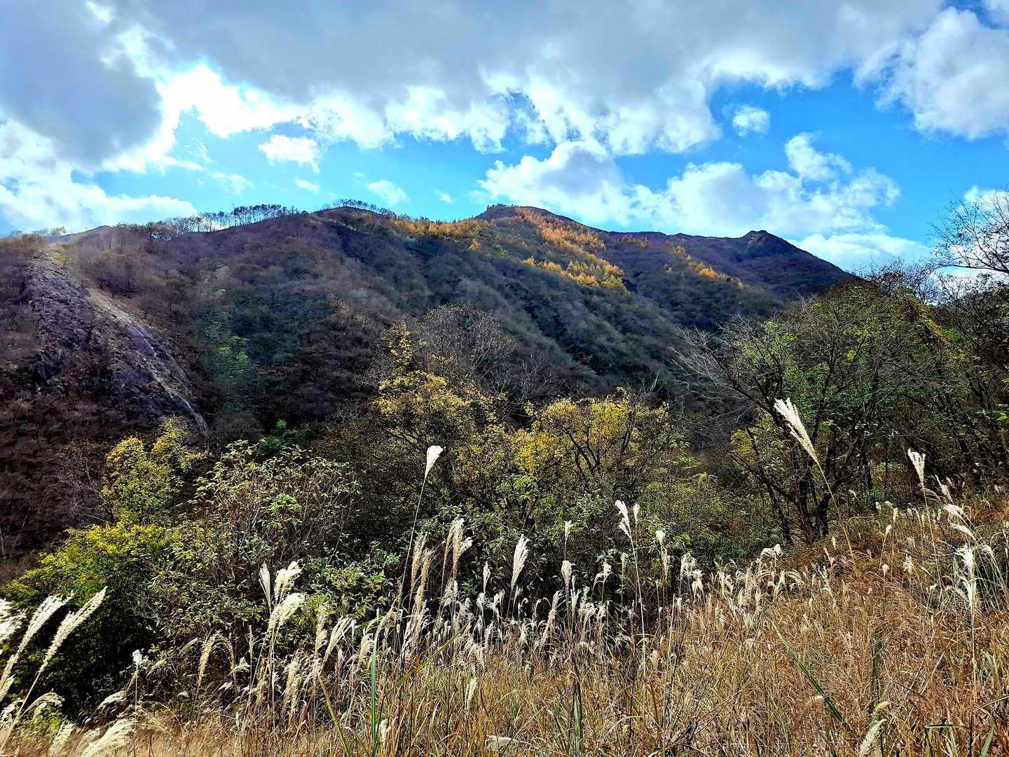 公園入口バス停-中倉山登山口-中倉山 往復コースの写真