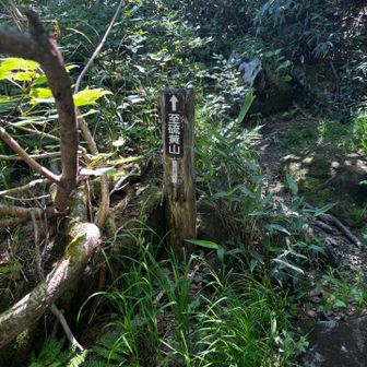 初めてきれいな看板あり