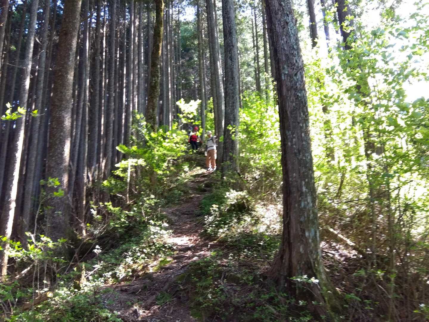 山を登る人なら何とかなる登山道
迂回路はまだ通行止め
