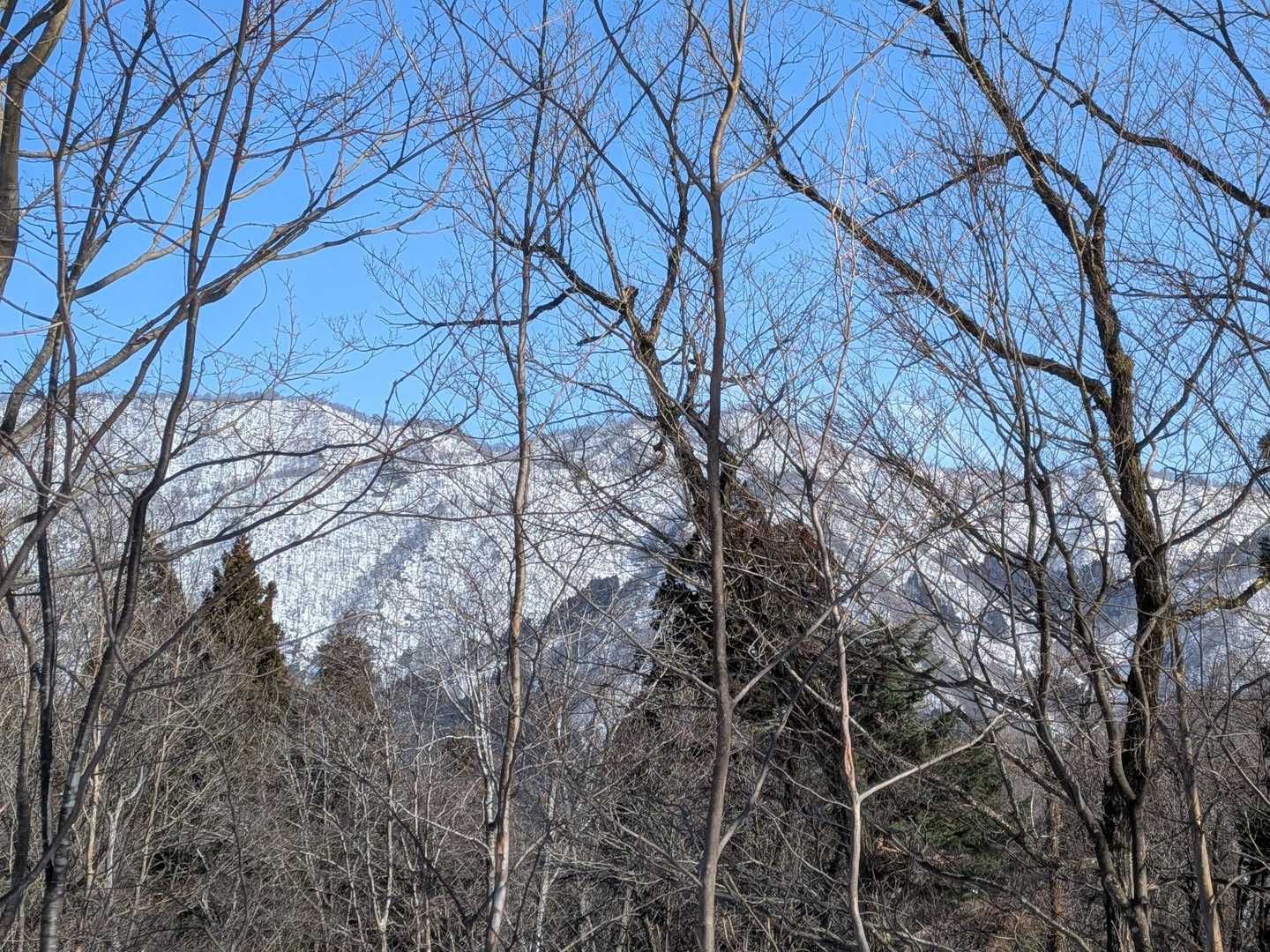 木々の間から素敵な景色✨️

今の時期だから見れるのかな🤔