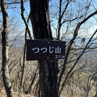 ４座目のツツジ山👍
