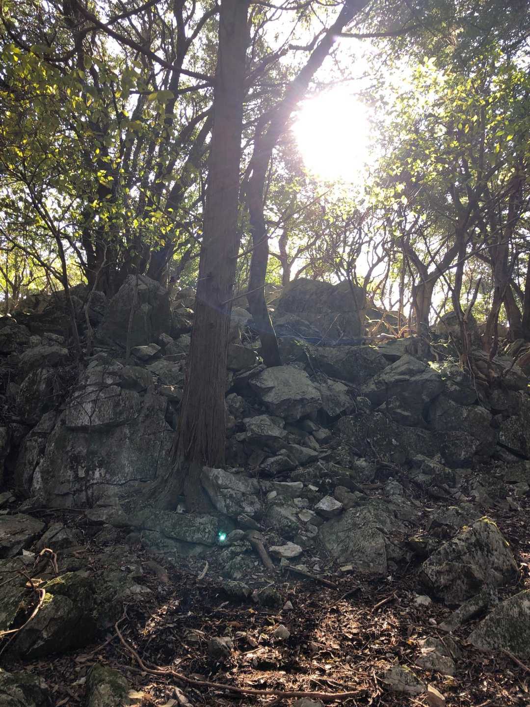 竜峰山 | 八代の3座を縦走、岩場あり天草まで見渡す周回コースの写真