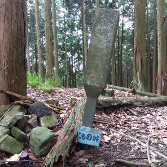 こもの峠、霧雨が雨に…