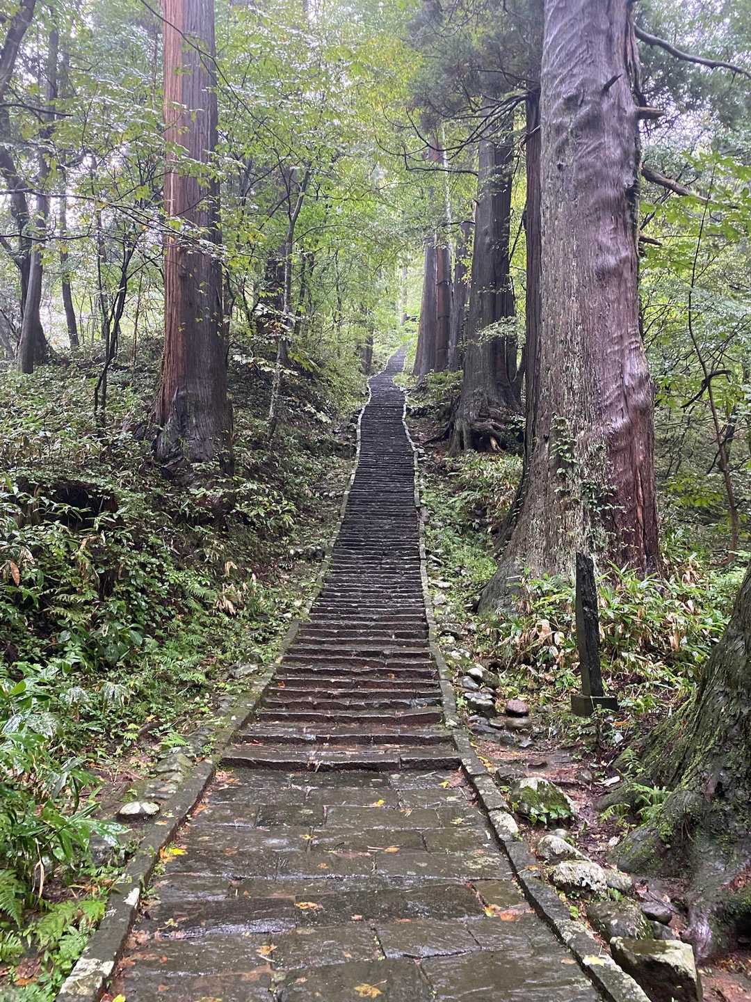 羽黒山登山口-羽黒山 五重塔-休憩所-出羽三山神社 往復コースの写真
