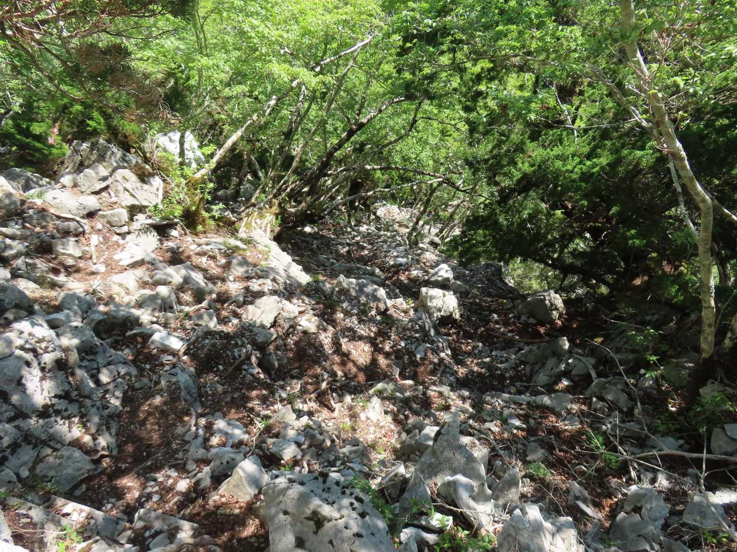 ガレていますが竜頭山の登りに比べればはるかにましです