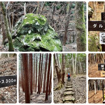 🪨ダルマ石から山頂へ
(↗️直登コースで行きますよ😤)