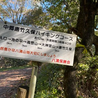 ここからは楽しい稜線歩き