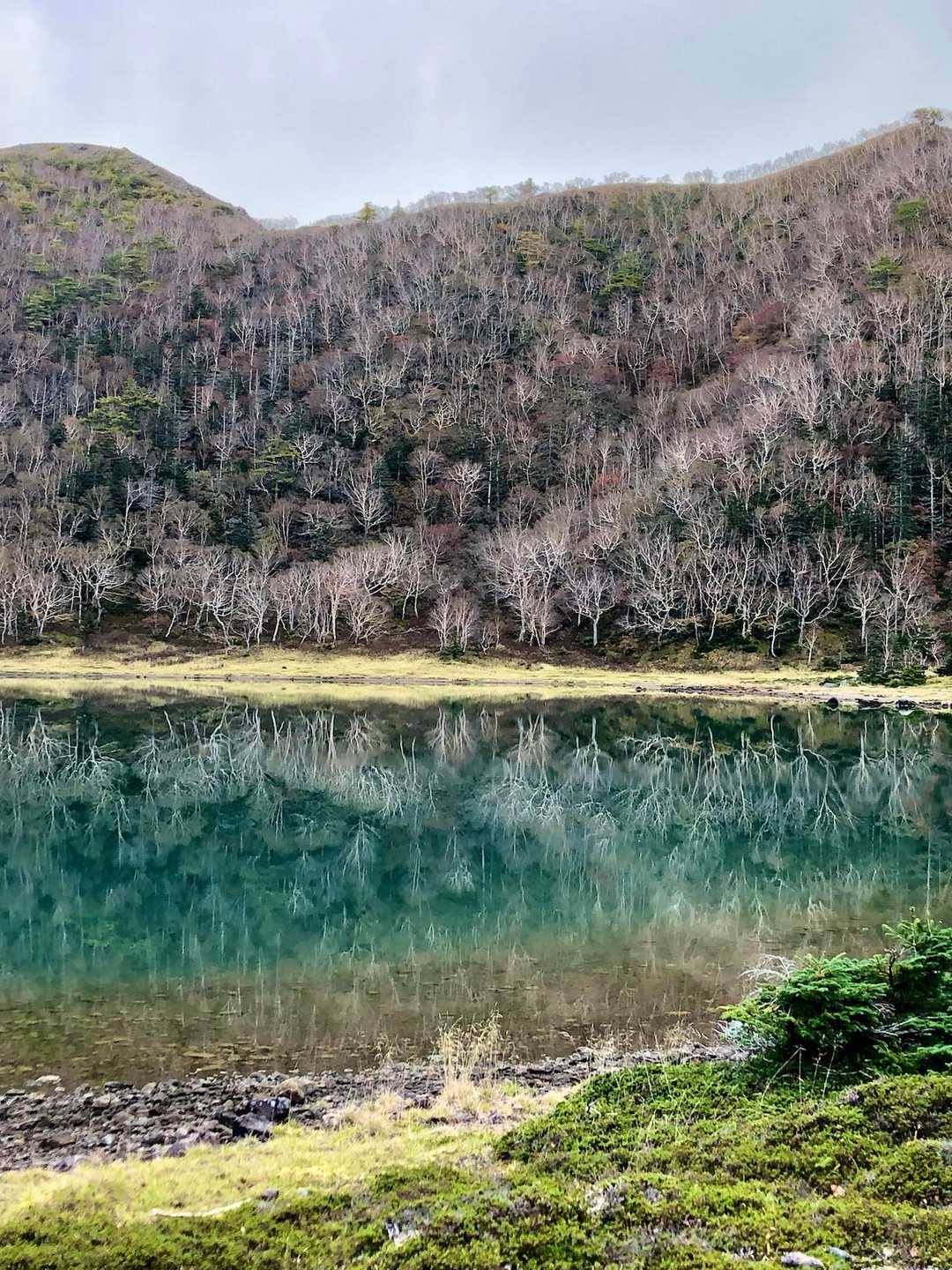 と思ったら、角度によっては素敵な翠色💓