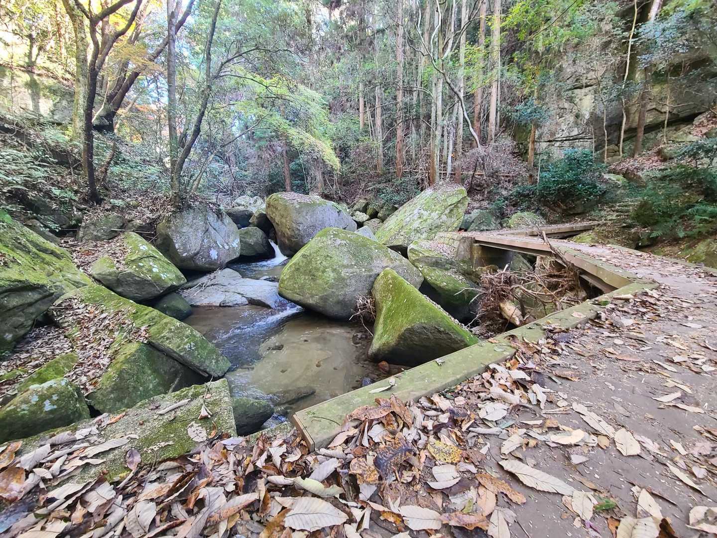 梟ヶ城址展望台-天下峯 周回コースの写真