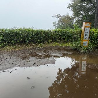 小仏城山
水溜まり