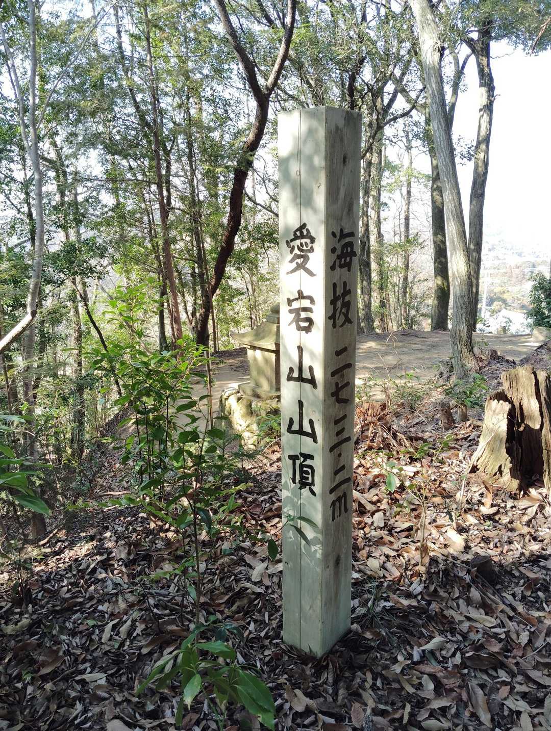 愛宕山ピーク