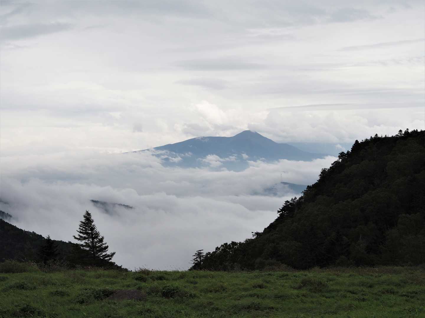 美ヶ原ハイキング道入口-牛伏山-山本小屋登山口-茶臼山 往復コースの写真