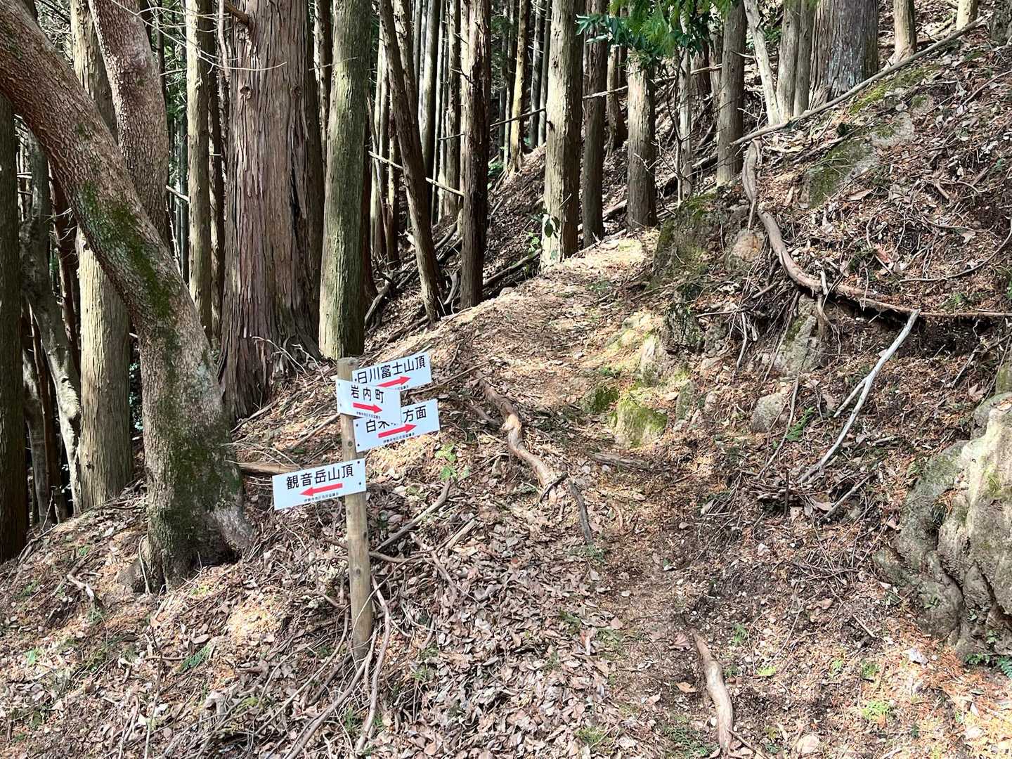 途中案内板多数あり💁‍♀️