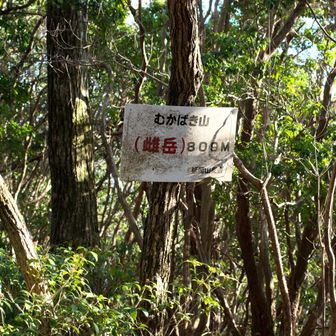 北岳到着。眺望は無し。