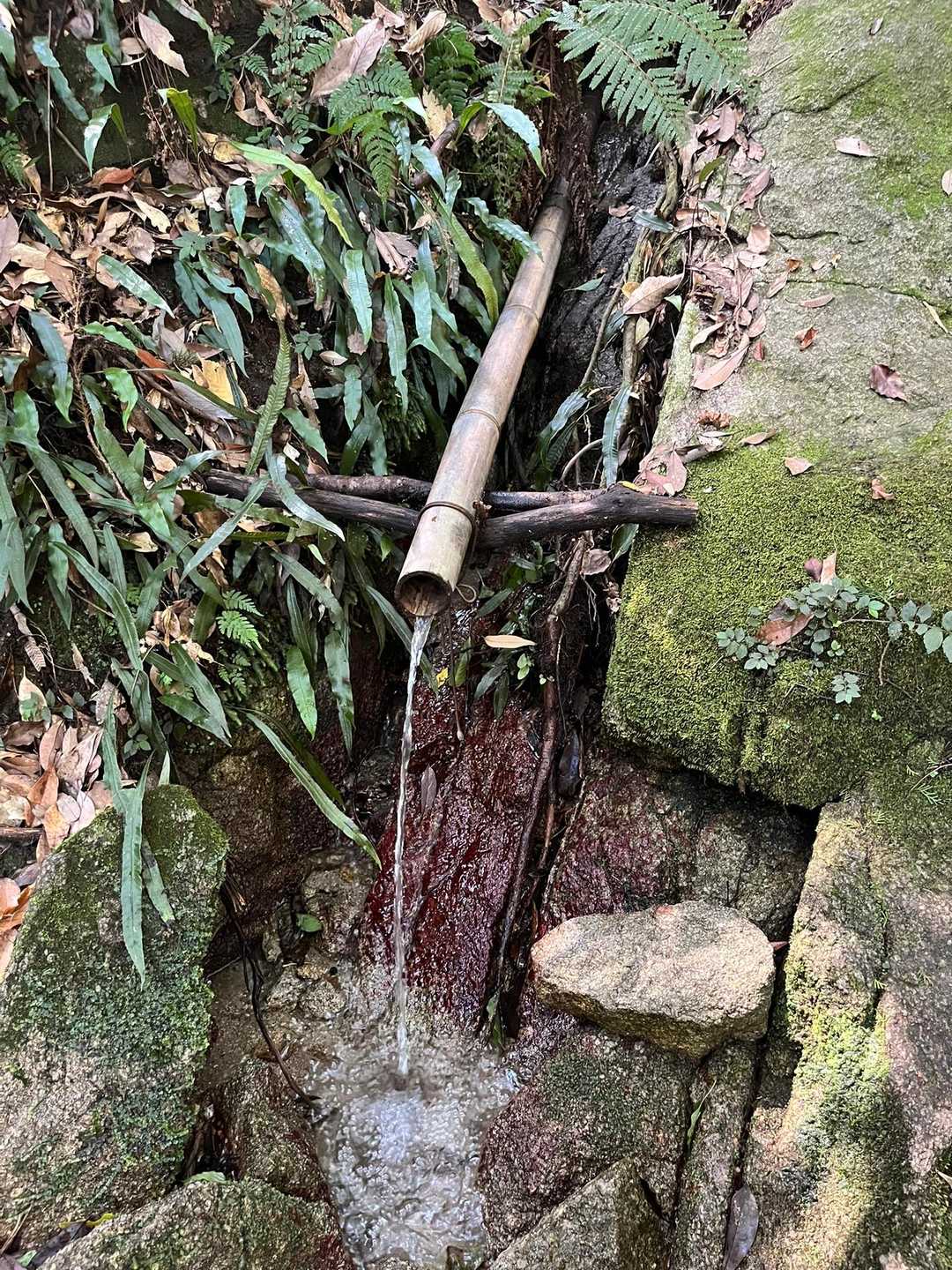 片縄山登山口-片縄山 周回コースの写真