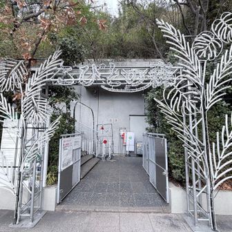 こびとがたくさんいました‼️‼️
面白くて全部写真撮りました🤳🤣