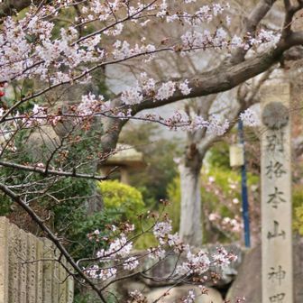 甲陽園駅まで歩いてゴールです

電車から見る夙川公園は
朝に比べて人は増え、結構混雑してました
