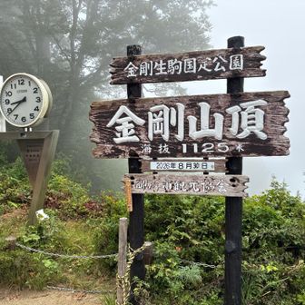 山頂に到着
やはり真っ白でした。
じっとしてると涼しくて良い