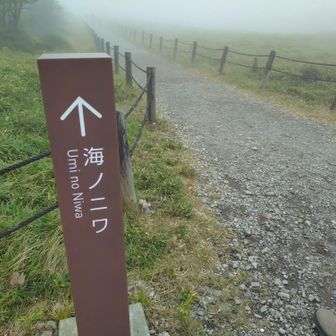 周回して駅舎戻ります
