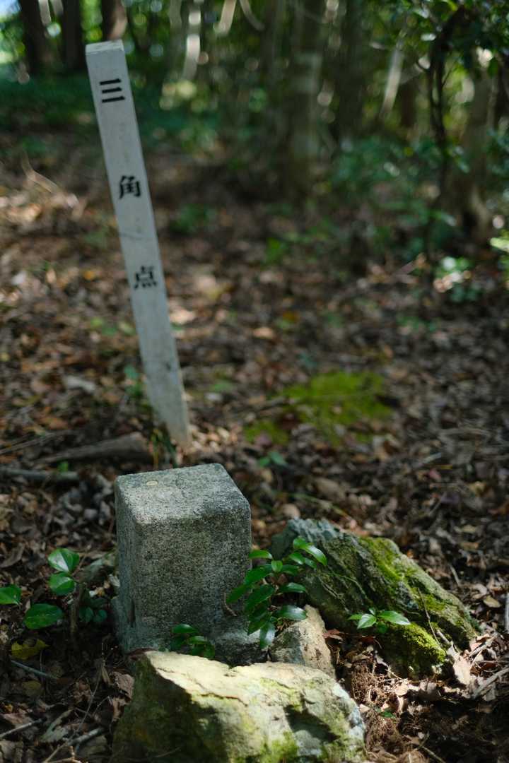 大船山山頂も森の中