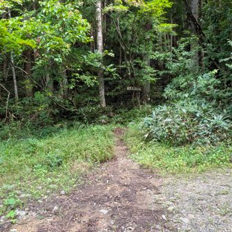 下山はこちらに出ました。
写真、中央奥に『尖山夏椿コース登山口』の案内看板