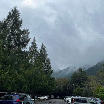 一旦、朝活終了💦
200mmレンズに交換して蜂探しに🐝🩵