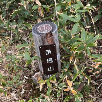 ちっちゃな山頂標識