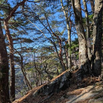 特に何もないピーク。