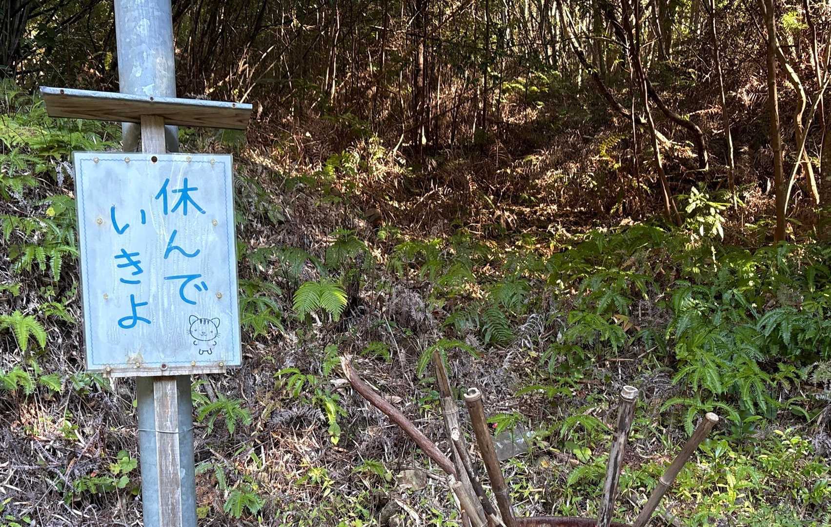 出発します！
休みながらいくよー！