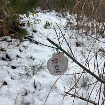 ここ左行ってウロウロするもなにもなく…
と思ったら実はこの左の方向に行くと
山頂看板あったようです😅あははは