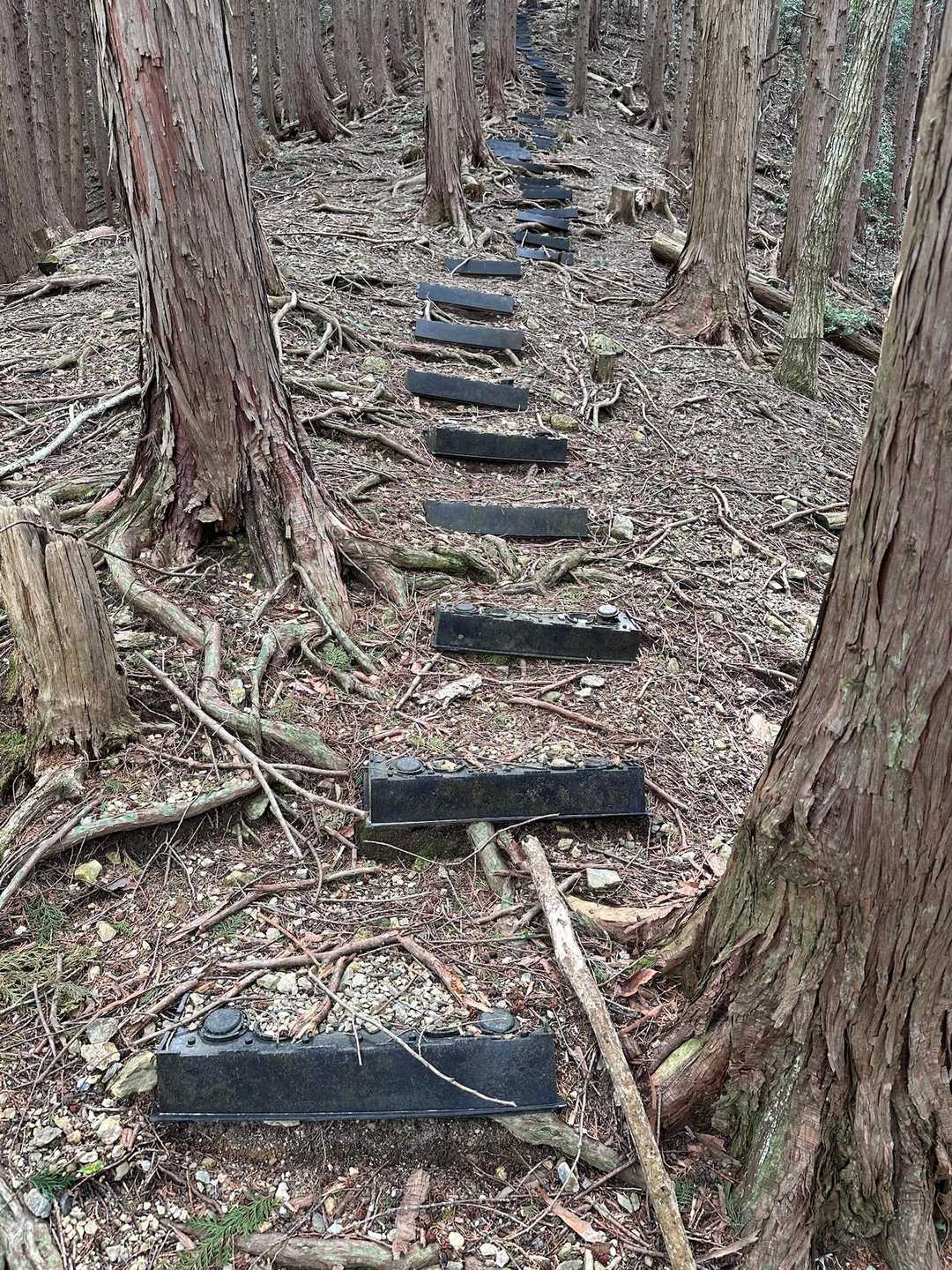 ずるずるなのでステップはありがたいです