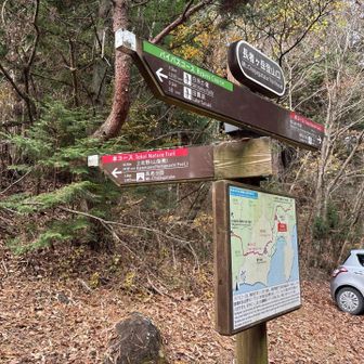 駐車場横の登山口からスタート