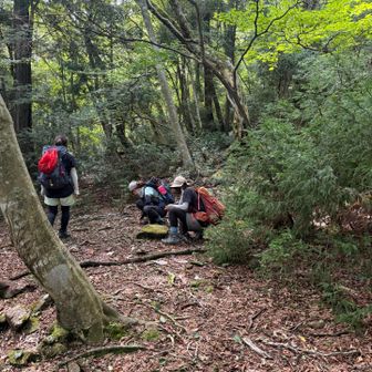 何やら３人で工作してます、、