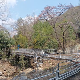 この橋を渡ったら駐車場です
第2青鬼も見えますね(笑)
おつかれ山
