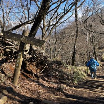長い下りの始まり