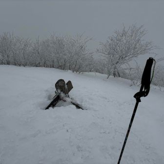 山頂からの眺望も無く風も強いのですぐに下山